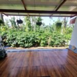 Tishina Homestay Sakaleshpur Hassan, Book Best Stays in Sakaleshpura at Best Price , Low-cost Luxury home stays with Food and Accommodation