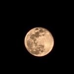 Tishina Homestay Sakaleshpur Hassan, Book Best Stays in Sakaleshpura at Best Price , Low-cost Luxury home stays with Food and Accommodation