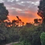 Tishina Homestay Sakaleshpur Hassan, Book Best Stays in Sakaleshpura at Best Price , Low-cost Luxury home stays with Food and Accommodation