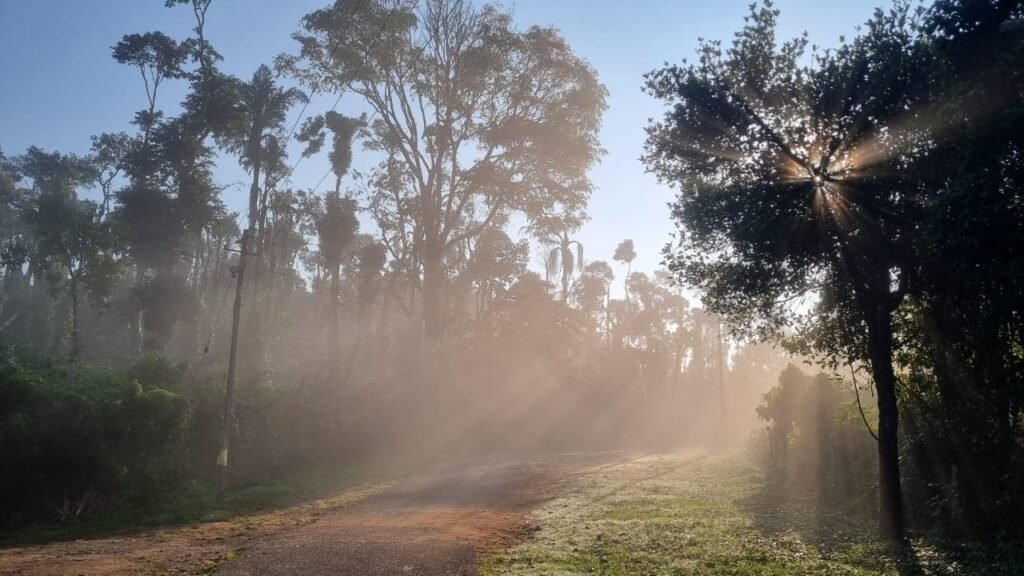 Tishina Homestay Sakaleshpur Hassan, Book Best Stays in Sakaleshpura at Best Price , Low-cost Luxury home stays with Food and Accommodation