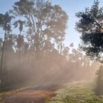 Tishina Homestay Sakaleshpur Hassan, Book Best Stays in Sakaleshpura at Best Price , Low-cost Luxury home stays with Food and Accommodation