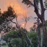 Tishina Homestay Sakaleshpur Hassan, Book Best Stays in Sakaleshpura at Best Price , Low-cost Luxury home stays with Food and Accommodation