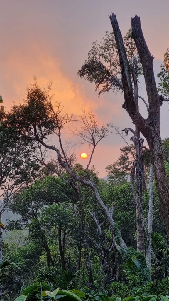 Tishina Homestay Sakaleshpur Hassan, Book Best Stays in Sakaleshpura at Best Price , Low-cost Luxury home stays with Food and Accommodation