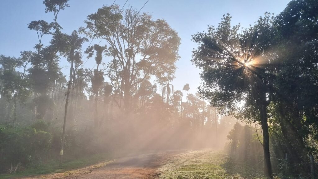 Tishina Homestay Sakaleshpur Hassan, Book Best Stays in Sakaleshpura at Best Price , Low-cost Luxury home stays with Food and Accommodation