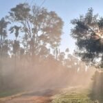 Tishina Homestay Sakaleshpur Hassan, Book Best Stays in Sakaleshpura at Best Price , Low-cost Luxury home stays with Food and Accommodation